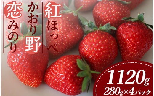 【2026年出荷分】 特別賞受賞！ご自宅用いちご　280グラム以上 4パック　【 紅ほっぺ いちご 果物 フルーツ 苺 イチゴ くだもの 静岡県産 期間限定 】　<A-6>