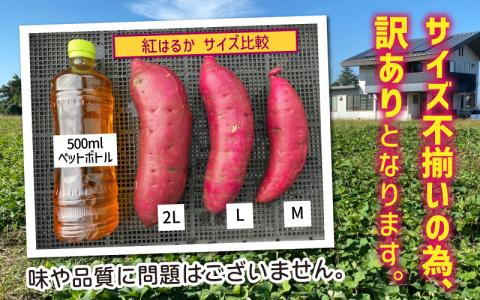 サツマイモ（紅はるか）サイズ不揃いの訳あり（M～2L）約6kg