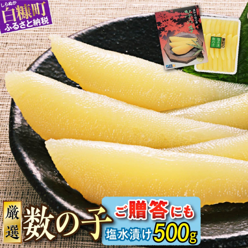 大手百貨店も扱う品質　塩数の子（塩水漬け）【500g】おせち お正月 数の子 かずのこ 塩数の子 塩かずのこ つまみ 北海道 海鮮 人気 グルメ 食べ物 魚卵 魚 魚介 北海道 白糠町