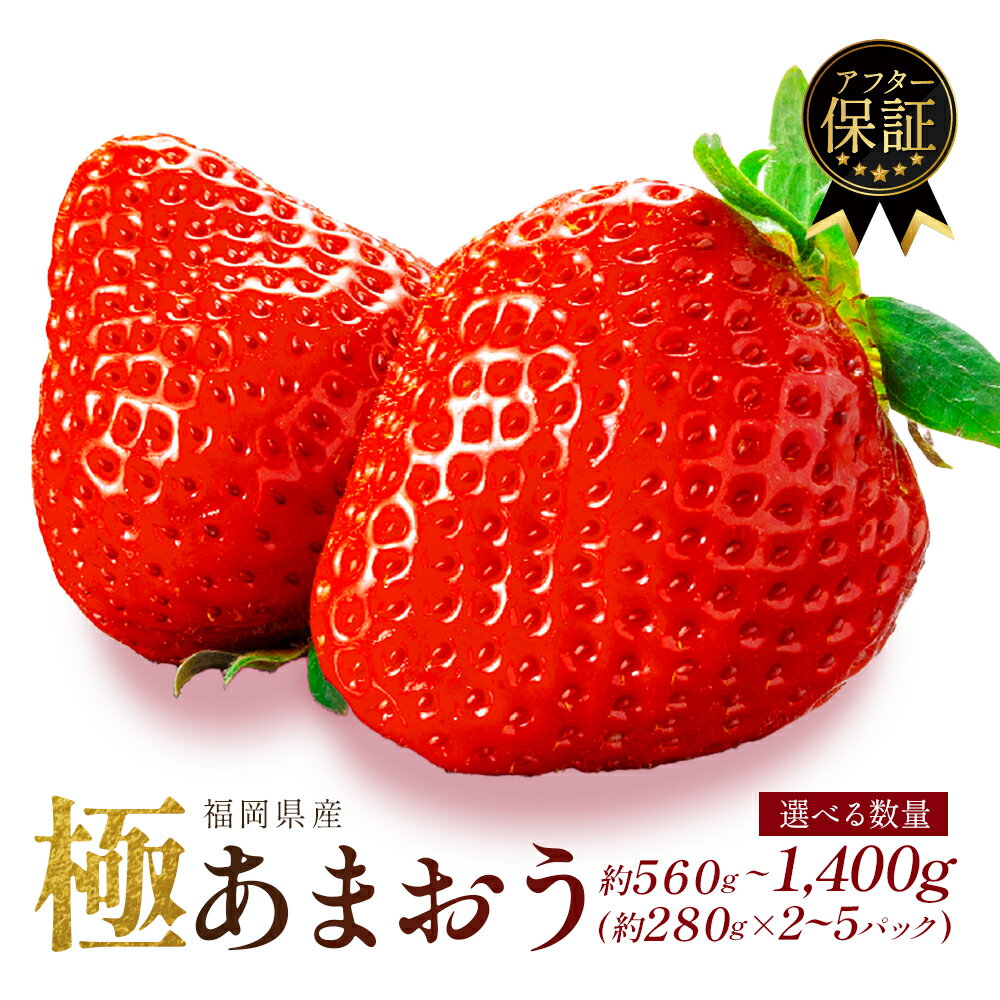 【ふるさと納税】 福岡県産 いちご あまおう 約560g~1.4kg(約280g×2~5P) 苺 イチゴ 大粒 果物 スイーツ 数量 期間限定 ふるさと納税いちご 甘い 人気 フルーツ ふるさと納税あまおう 5000円 五千円 ランキング 2026年1月上旬~順次発送