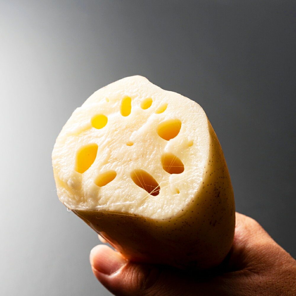 【ふるさと納税】早期受付 連島れんこん 約5kg 一節もの/二節もの/1本もの 選べる種類 【配達不可：北海道・沖縄・離島】 倉敷市【2025年9月上旬～2026年4月下旬に順次発送予定】