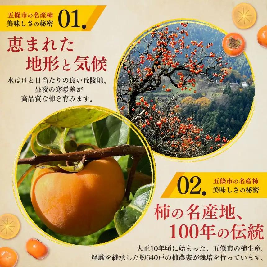 富有柿 約3.5kg （11～13個）|果物 柿 西岡農園