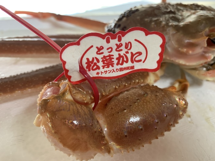 <ブランドタグ付>浜茹で！松葉ガニ(特大)900g 1枚 鳥取網代港 岩美 松葉がに ずわいがに かに ※お届けは2026年11月中旬～【さかなや新鮮組】【22094】