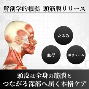 【東大卒毛髪専門医監修】メディカルヘッドスパ90分/解剖学的根拠に基づいた技術で頭皮ケア|千代田区【1704389】