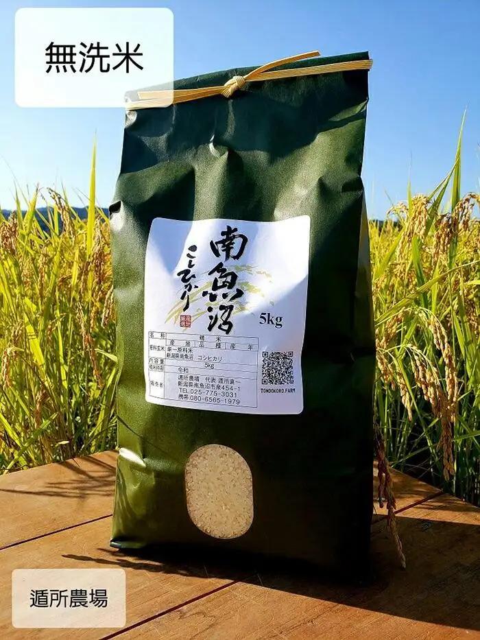 【令和8年 新米予約】【お米定期便/全６回】南魚沼産コシヒカリ　無洗米５ｋｇ｜定期便【2026年10月中旬から1ヶ月以内に順次発送予定】