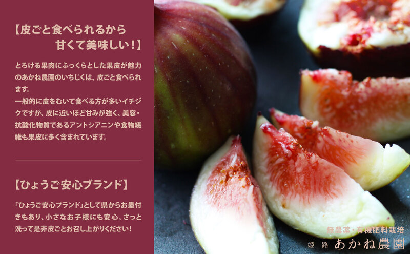 【栽培期間中 無農薬・有機肥料栽培】皮ごと食べれて甘い！あかね農園「 特級 生いちじく」9 個 桐箱入り