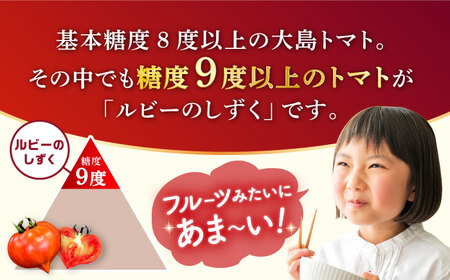 【☆先行予約☆】【2回定期便】糖度9度以上！ 大島トマト 特選「 ルビーのしずく 」約1.2kg＜大島造船所農産G＞ [CCK030] トマト ﾄﾏﾄ  とまと フルーツトマト ﾄﾏﾄ こだわりトマト