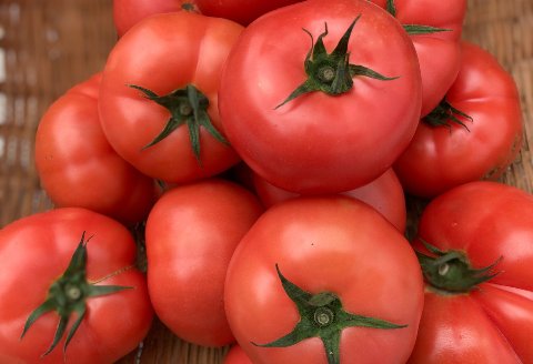 【飛騨産】麗月トマトジュースセット　3種飲み比べ（180ml×各1本）【61-4】