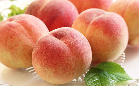 【定期便3回】好きですやまがた！夏から始まる果実のおもてなし 3選【令和8年産先行予約】FS25-099