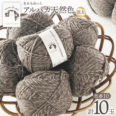 ふるさと納税 江南市 あみもねっと アルパカ天然色並太 10番色 10玉セット