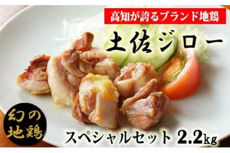 「土佐ジロー」地鶏 スペシャルセット 地鶏 成熟 歯ごたえ やみつき 冷凍
