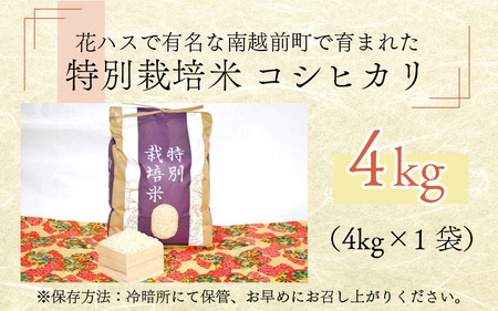 【先行予約】令和7年度産 新米 特別栽培米 コシヒカリ 4kg【11月上旬より順次発送】