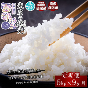 【9ヶ月定期便】栃木県産コシヒカリ 「米屋の越光」5kg×9ヶ月◇