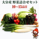 【ふるさと納税】九州野菜セット 大分県中津 春夏秋冬野菜セット10〜15品 JA直売所直送野菜 新鮮 トマト ホウレンソウ 小松菜 水菜 チンゲン菜 ネギ キャベツ