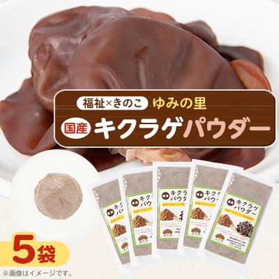ふるさと納税 館山市 きくらげパウダー20g×5袋 就労継続支援A/B型併用事業所「ゆみの里」