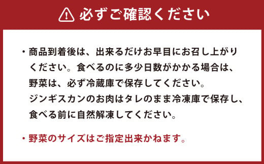 野菜と一緒にお届け！ジンギスカンセット〈4人前程度〉