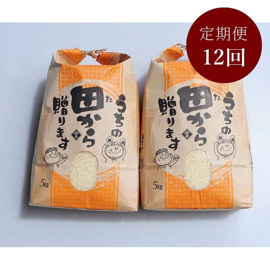 ＜リルストーリア 指村農園＞極みノはえぬき10kg　定期便12か月コース