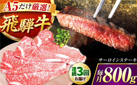 【3回定期】 特選飛騨牛５等級ステーキ(サーロイン800g) / 飛騨牛 ブランド牛 A5 サーロイン ステーキ 牛肉 定期 [AVAG008]