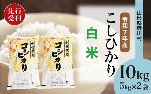 ＜令和7年産米先行受付＞ 令和8年5月中旬発送　こしひかり 【白米】 10kg （5kg×2袋） 鮭川村