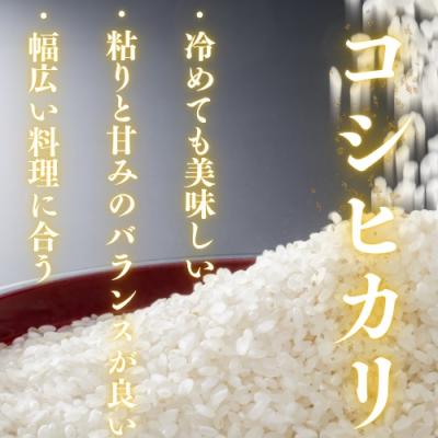 ふるさと納税 山口市 農家直送!山口市産新米「コシヒカリ」精米10kg D404 |  | 02