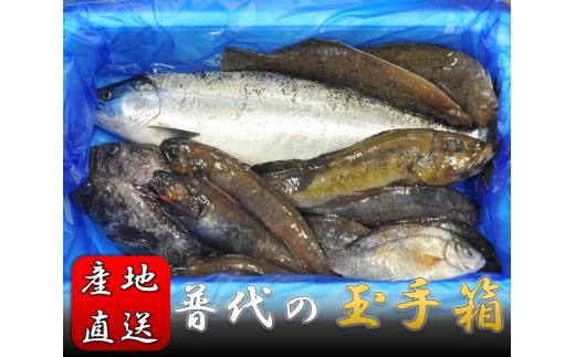 
＜新鮮・産地直送＞普代の玉手箱【魚介詰め合わせ】
