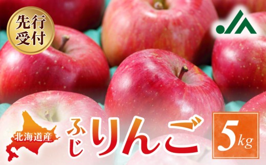 【2025年11月下旬以降発送分先行予約】りんご (ふじ)  5kg