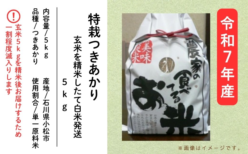 特栽つきあかり 玄米5㎏ 精米したて白米発送