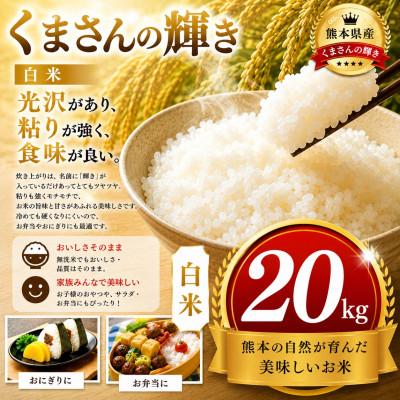 ふるさと納税 玉名市 【熊本県産】 くまさんの輝き 白米 20kg