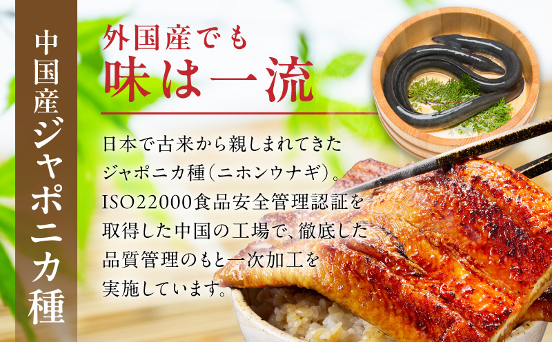 【土用の丑の日までにお届け】うなぎ 暴れ盛り 250g（2カット）【規格外 お試し 鰻 かば焼き 簡単調理 訳あり サイズ不揃い 人気 惣菜 うな重 うな丼 ひつまぶし 大阪 泉佐野 大阪府 泉佐野市