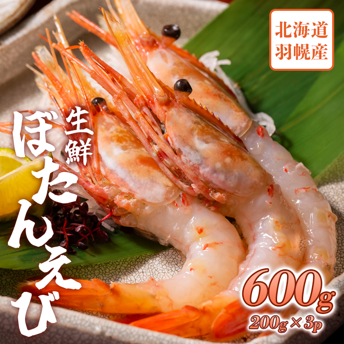 超速リキッド凍結でドリップゼロ！北海道羽幌産生鮮ぼたんえび 600g【03118】