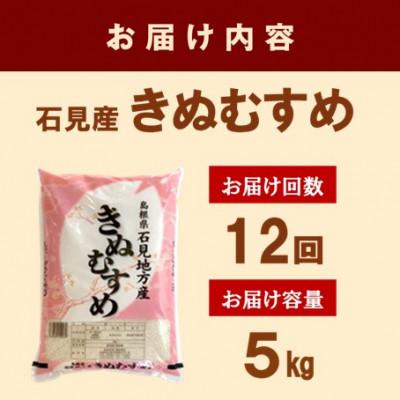 ふるさと納税 浜田市 【毎月定期便】石見産きぬむすめ 5kg全12回 |  | 02