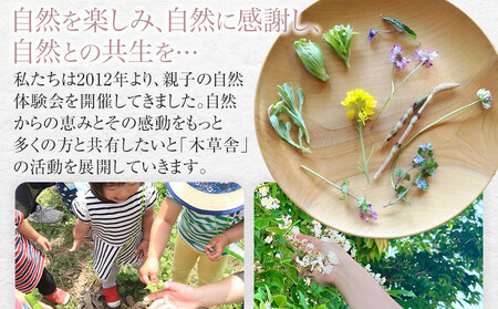 おやつtimeが華やぐ♪フローラトレー S・Mサイズ 2枚 セット【木草舎ーもくそうやー】