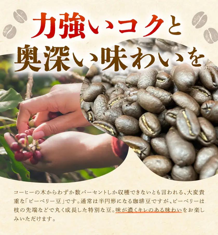 自家焙煎 珈琲豆 (ピーベリー豆) 100g×2袋 吉岡茶房