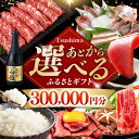 【ふるさと納税】【あとから選べる】対馬市ふるさとギフト 30万円 分 《対馬市》 離島 米 肉 魚介 海鮮 木工品 常温 冷蔵 冷凍[WZZ018]