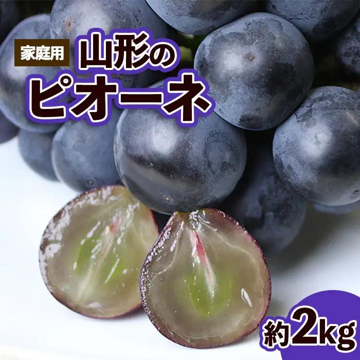【ご家庭用】山形のピオーネ 優品 約2kg(2～6房)[10月お届け]【令和8年産先行予約】FS23-646 くだもの 果物 フルーツ 山形 山形県 山形市 2026年産