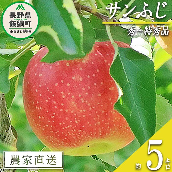 【ふるさと納税】 りんご サンふじ 秀 〜 特秀 5kg 永正の地蔵尊神谷農園 沖縄県への配送不可 令和7年度収穫分 長野県 飯綱町 〔 信州 果物 フルーツ リンゴ 林檎 長野 16000円 予約 農家直送 〕発送時期：2025年12月上旬〜2026年2月上旬 {***}
