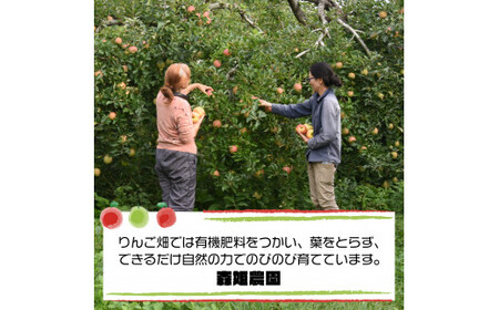 無添加りんごジュース／雪越しの濃いしぼりとスッキリタイプミニのミックス箱