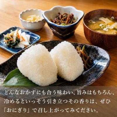 ふるさと納税 小千谷市 【令和8年産新米先行予約】 魚沼産コシヒカリ 精米10kg 共栄農工社 (10月下旬頃より順次発送) |  | 01