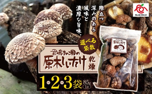 
                  乾燥しいたけ 1袋 2袋 3袋｜徳用 家庭用 栃木県 矢板市 しいたけ 椎茸 産地直送 乾燥
                