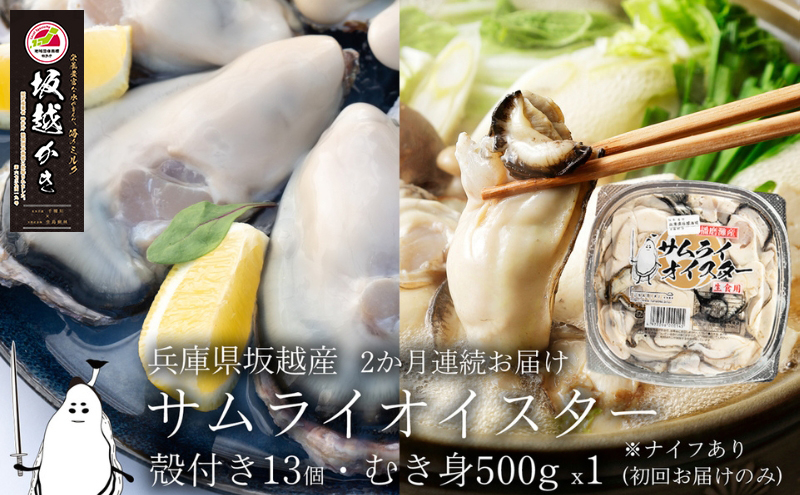 牡蠣 定期便 生食 坂越かき むき身 500g×1, 殻付き 13個(初回牡蠣ナイフ・軍手付き)2ヵ月連続お届け 生牡蠣 冬牡蠣 魚貝類