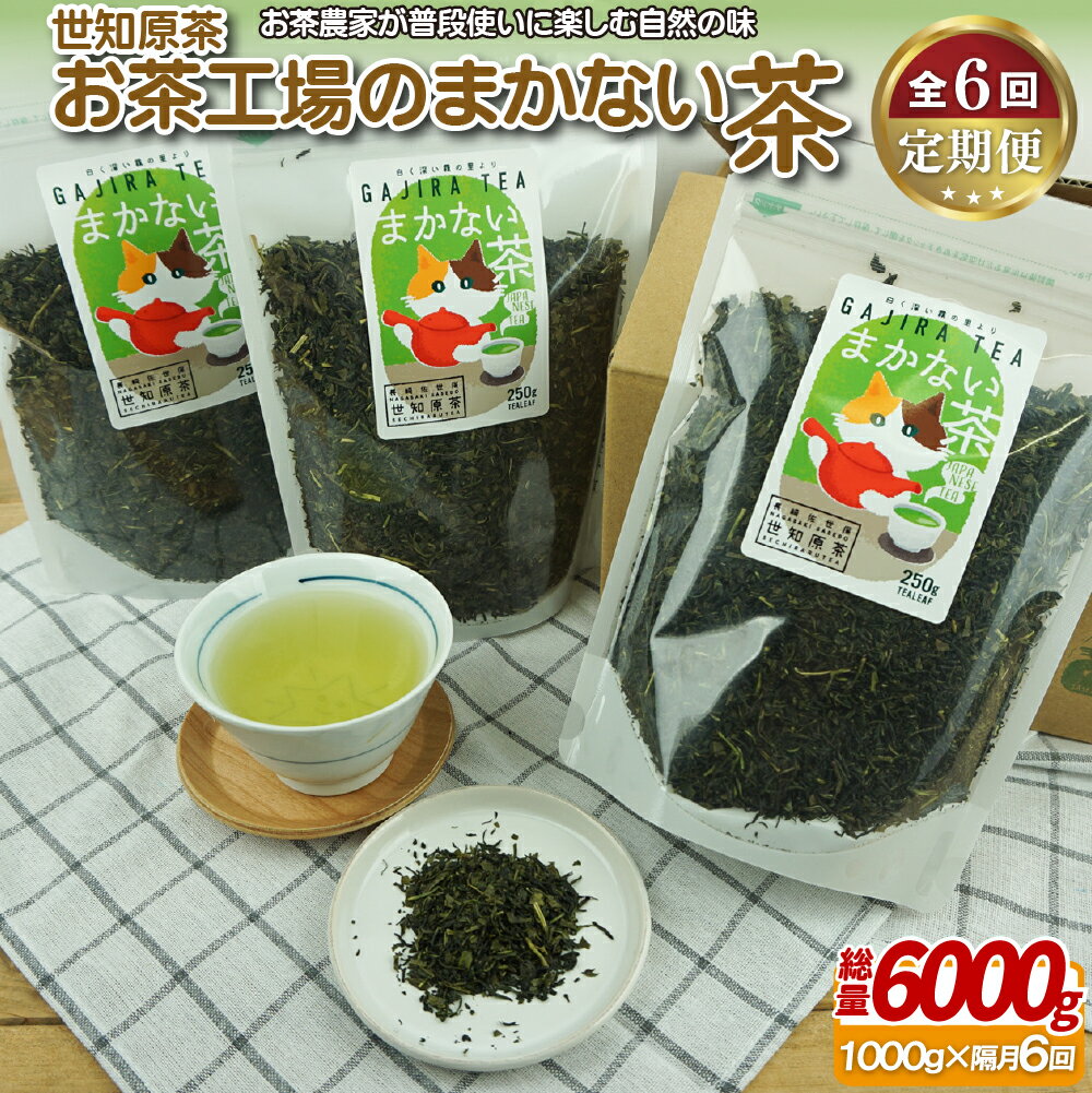 【ふるさと納税】世知原茶お茶工場のまかない茶【6回定期便】 70500円