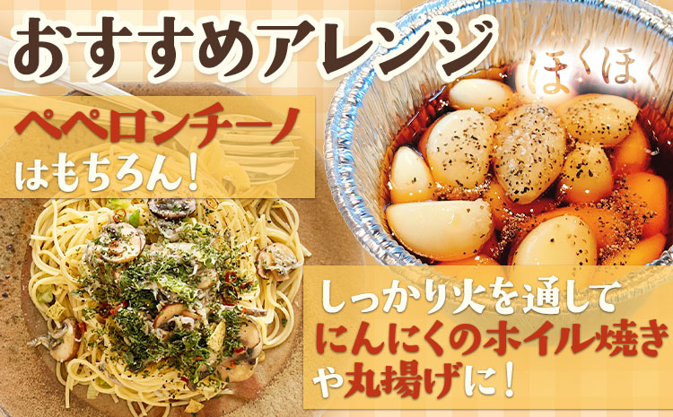 土付き にんにく 白玉王 1kg Mサイズ 本別町産 斎啓一 北海道 本別町 送料無料 ニンニク ガーリック 乾燥にんにく スタミナ 野菜 1キロ
