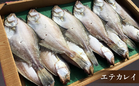 干物 一度食べたらやみつき！恵曇一夜干しセット3種×5尾 島根県松江市/有限会社丸三商店 [ALCP002] 干物 干物