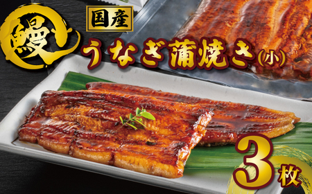 鰻 鰻蒲焼き 3枚
