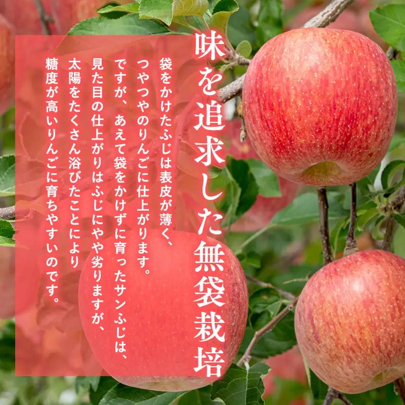 りんご サンふじ 約5kg[hi-0009-004]