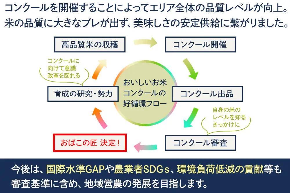 令和7年産 おばこの匠 秋田県産あきたこまち 2kg（玄米）2kg袋 秋田こまち お米