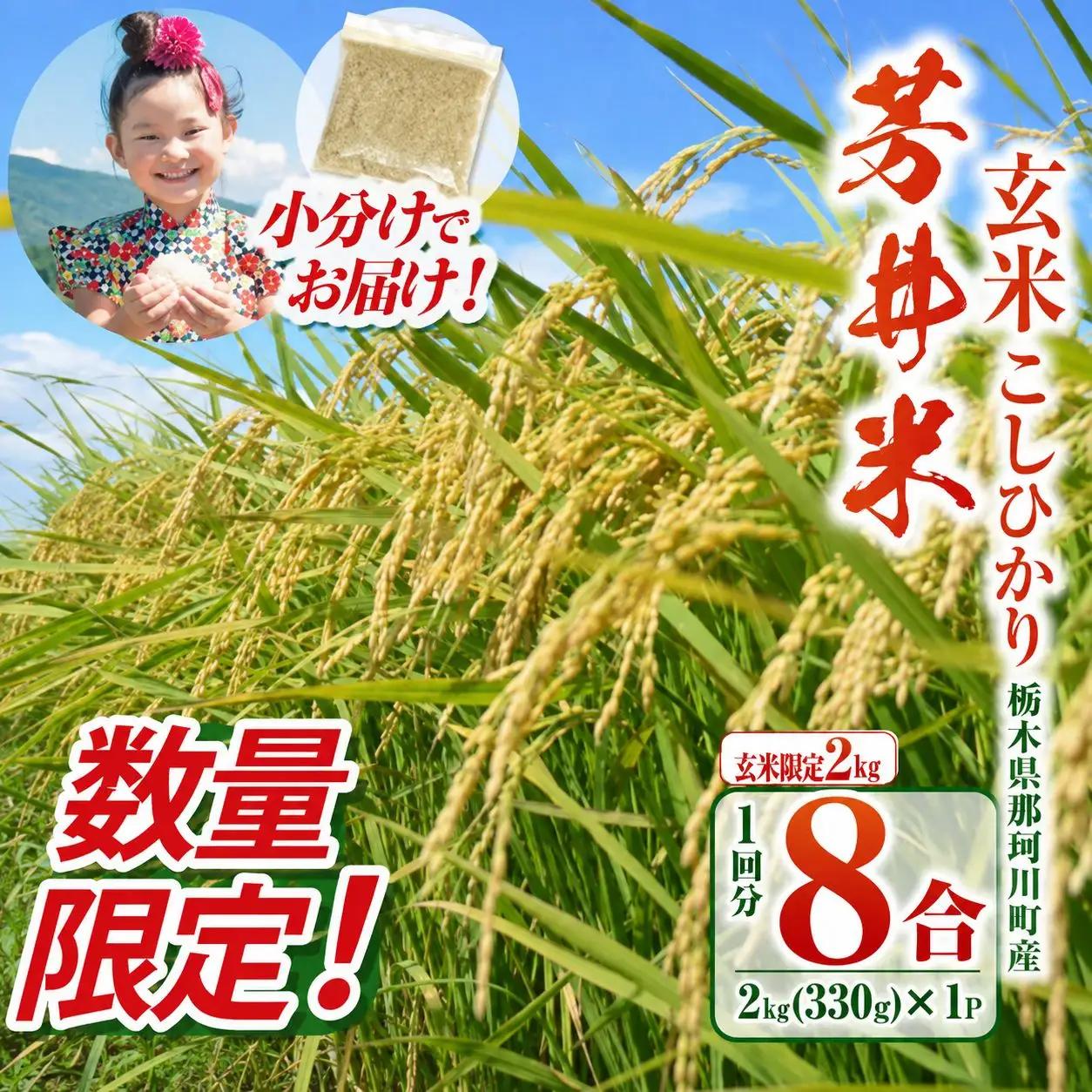 【数量限定】【定期2回】【令和8年度産】那珂川町産芳井米 コシヒカリ 玄米 330g（2合分）×4 | 栃木県 那珂川町 送料無料