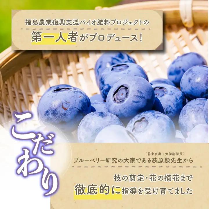 ブルーベリージャム 3個セット ジャム ブルーベリー 朝食 パン セット ギフト【東和ブルーベリー研究農園】