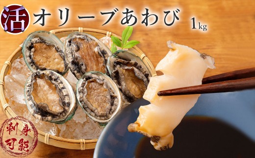 あわび オリーブあわび 約1kg (10～12個程度)  [ あわび アワビ 鮑 オリーブアワビ 殻付きあわび 国産あわび 瀬戸内海 海鮮 高級海鮮 海鮮グルメ 特産品 お取り寄せグルメ 酒蒸し バター焼き ソテー 鉄板焼き 刺身用 家庭用 ギフト用 贈答用 香川県 三豊市 ]
