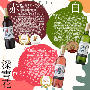 酒 岩の原ワイン ハーフサイズ6本セット（ 赤 ×2本 白 ×2本 ロゼ ×2本各360ml） ワイン ギフト 新潟 上越